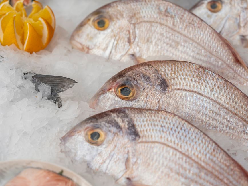 Two whole silvery porgy fish with pink-tinged scales laid on crushed ice at a fish counter, gills still bright red.