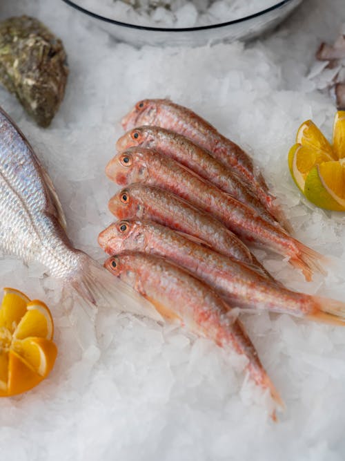 Fish with Lime on the Ice