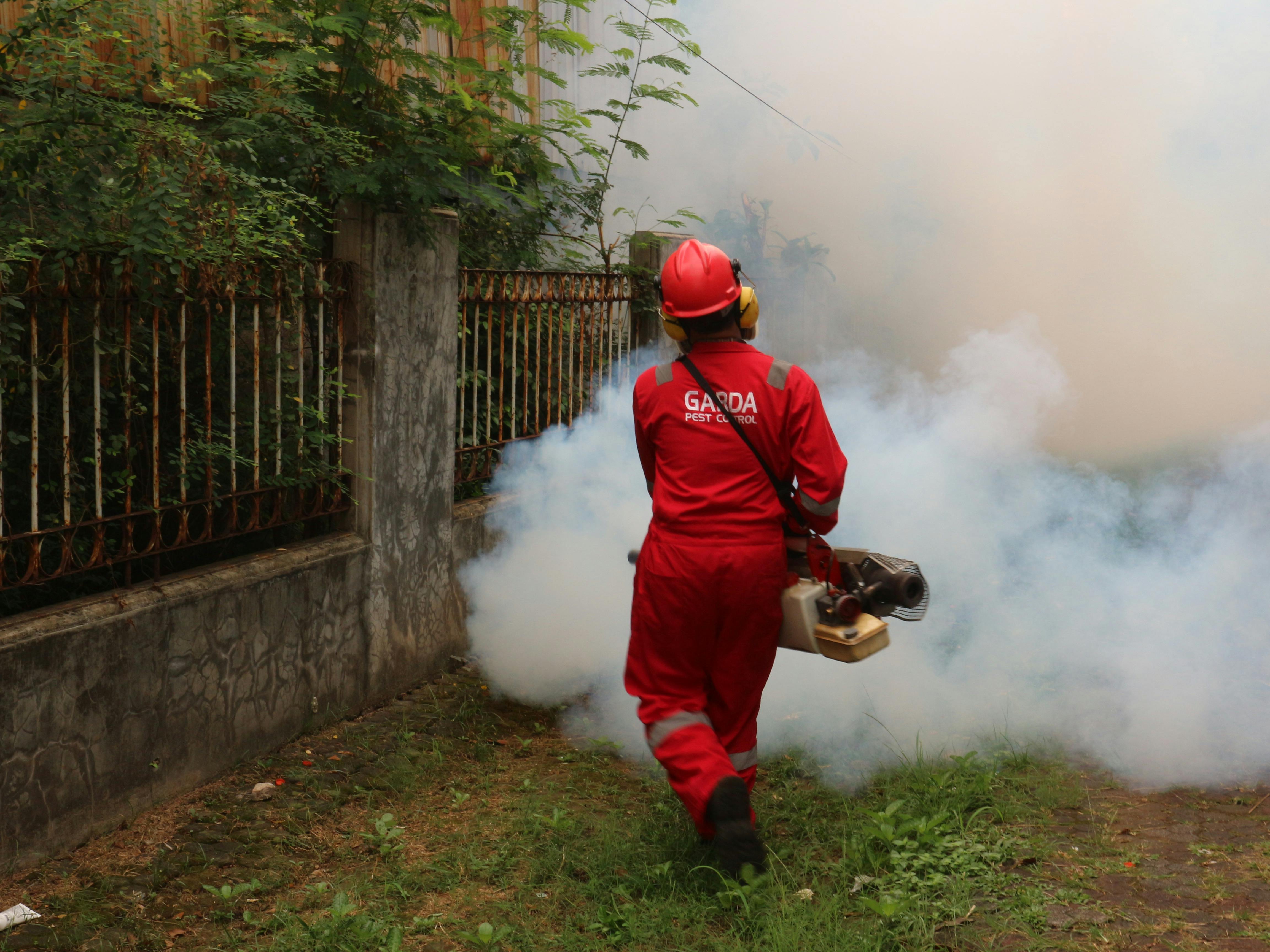 Free Pest Exterminator Fogging the Yard Stock Photo