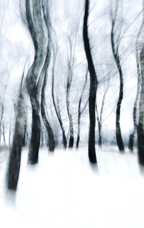 Free Abstract art of a winter forest scene with blurred trees and snow, creating a mystical effect. Stock Photo