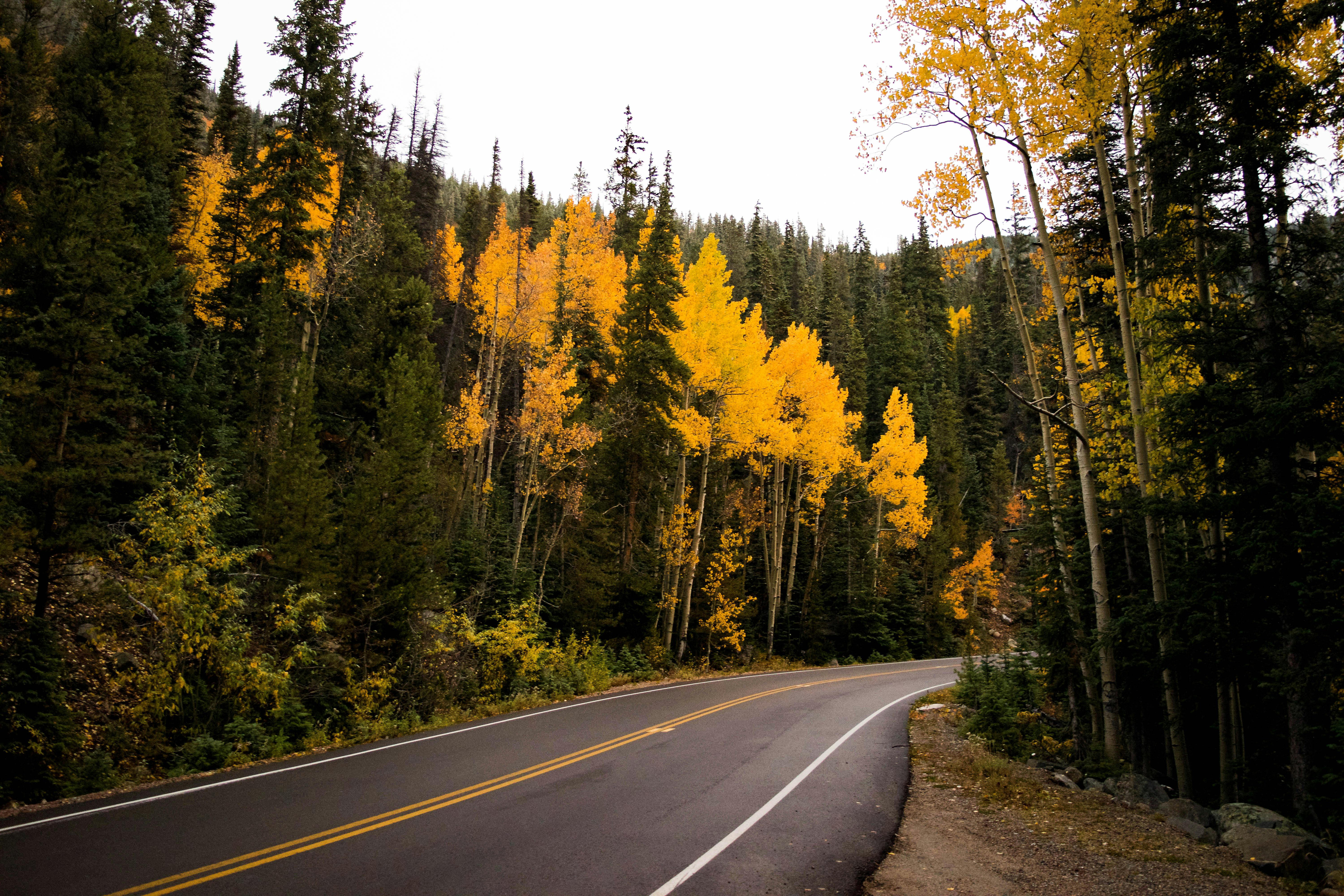 Curvy Road Photos, Download The BEST Free Curvy Road Stock Photos & HD Images Curvy Road Photos, Download The BEST Free Curvy Road Stock Photos & HD Images