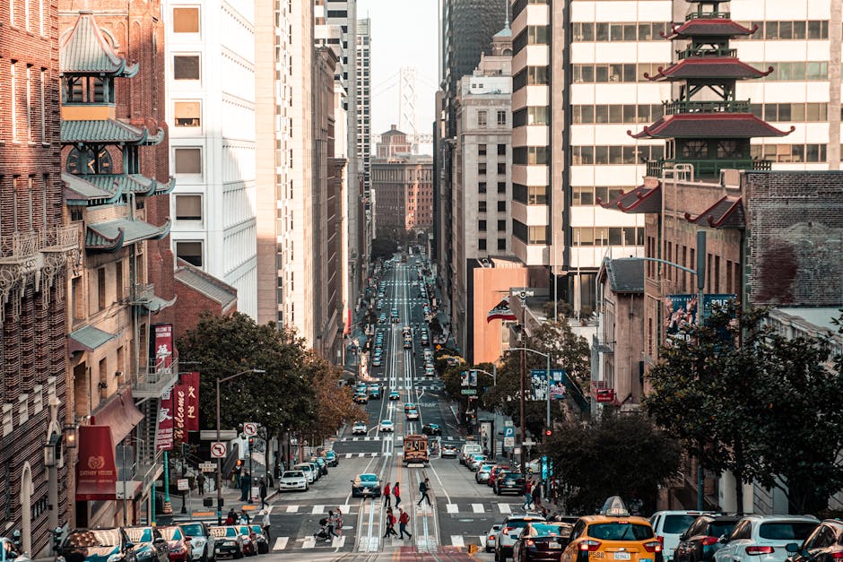 What is Organic Traffic and How to Boost it for Your Website