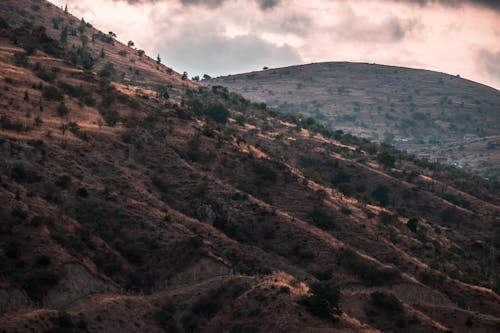 Photos gratuites de buissons, collines, environnement