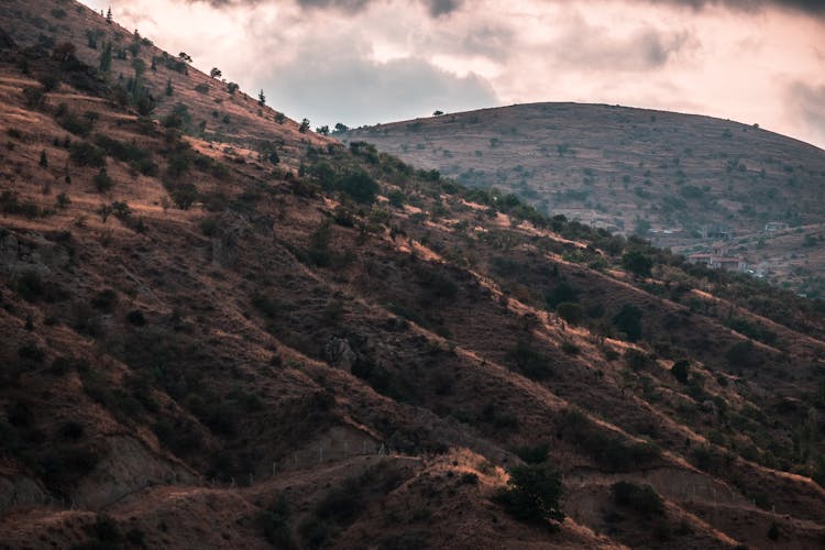 Landscape With Undulating Hills