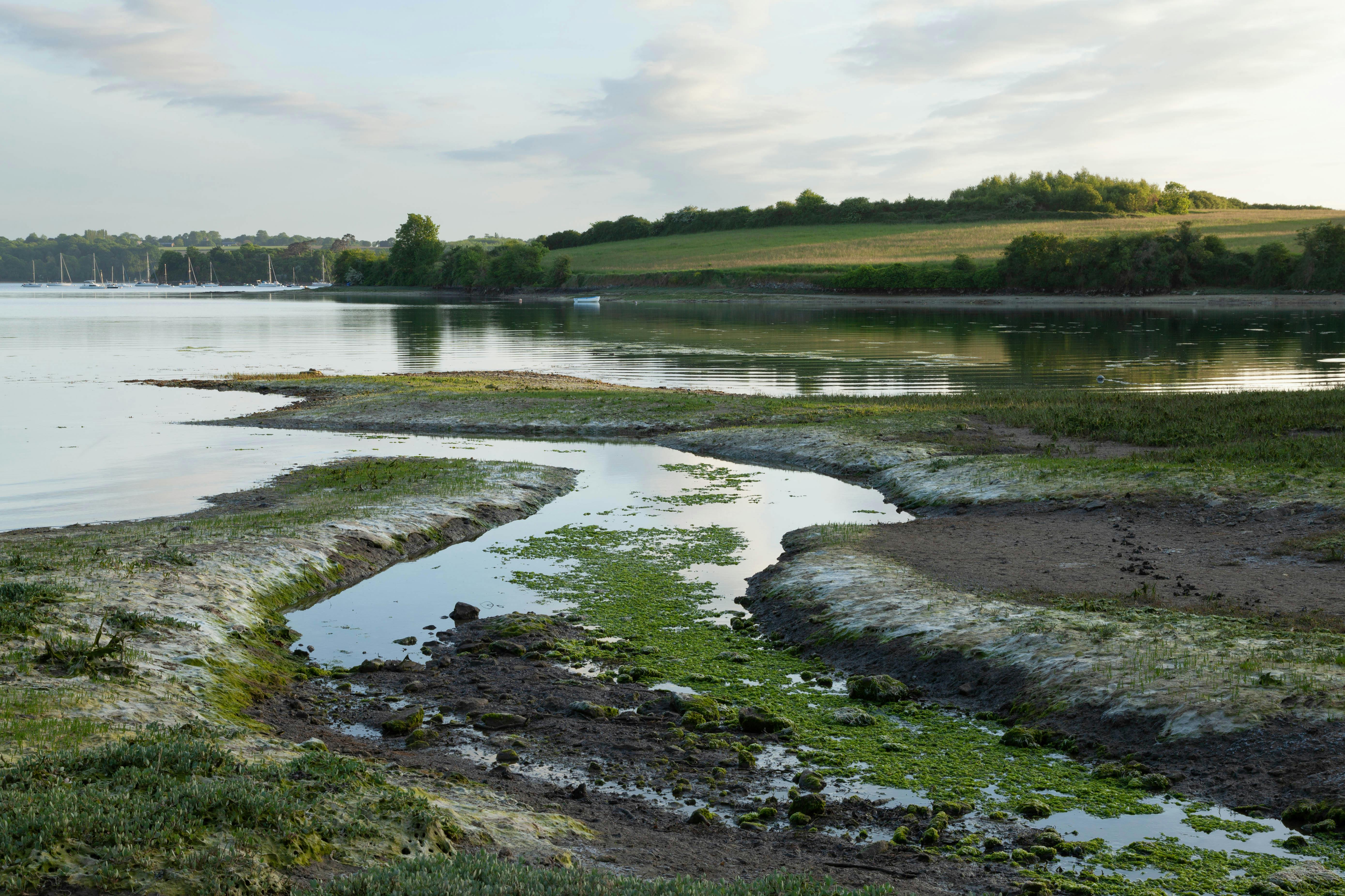New Jersey Department of Environmental Protection | Sea Level Rise — Photo by PHILIPPE SERRAND on Pexels