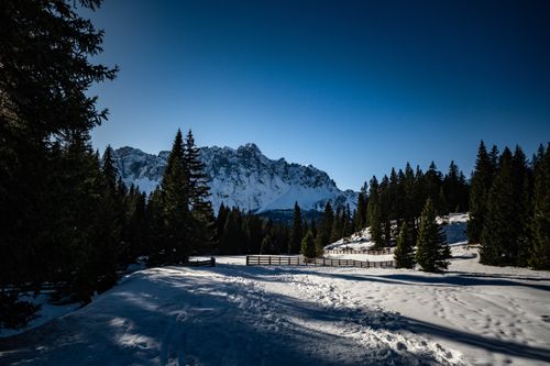 Free Panoramic view of snow-covered mountains and evergreen forests on a sunny winter day. Stock Photo