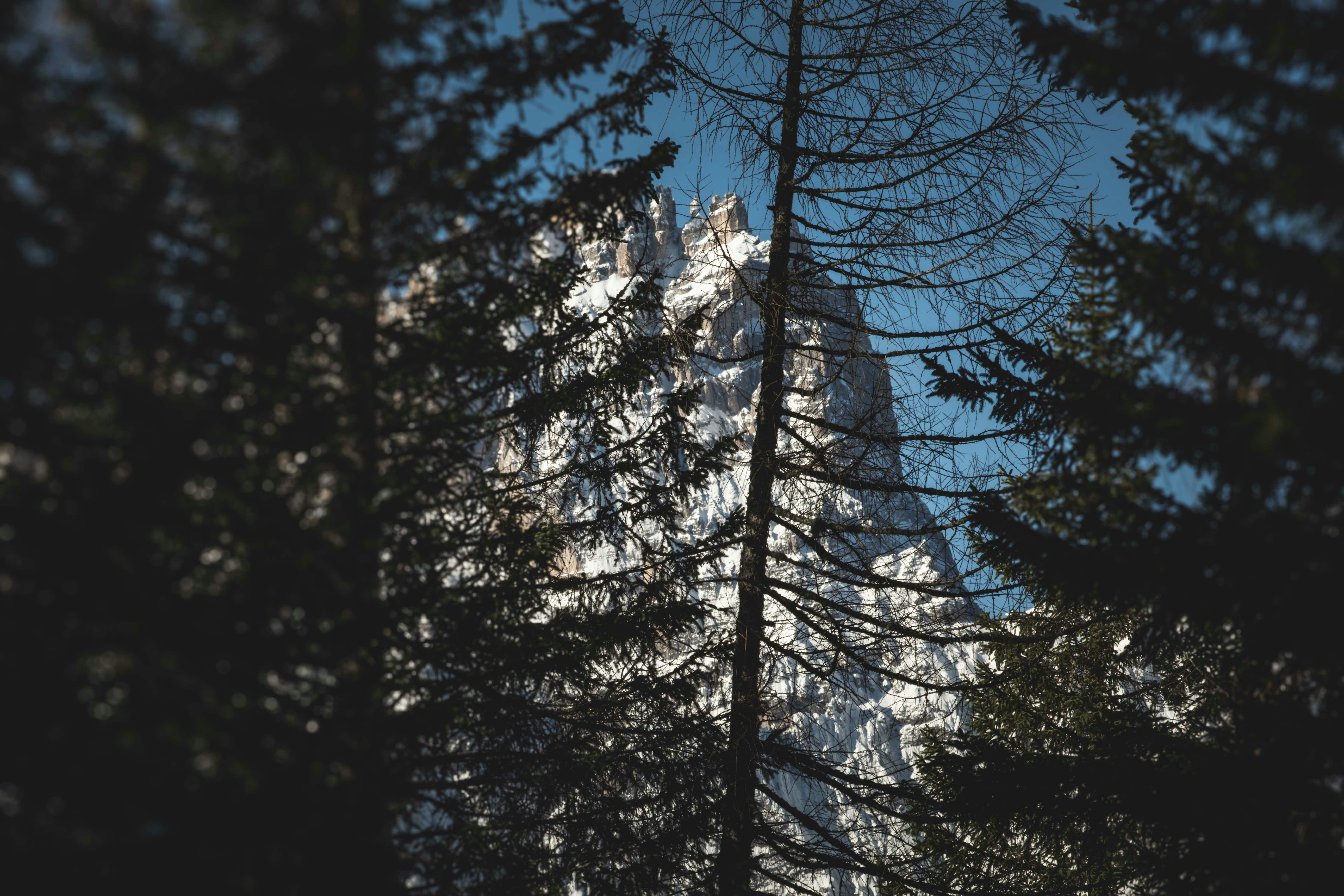 Vertiseit (Q1 Review): Look beyond volatile non-SaaS revenue — Photo by Francesco Ungaro on Pexels