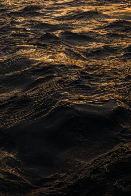 Free Golden sunlight reflects on the ocean waves during sunset, creating a dramatic and serene seascape. Stock Photo