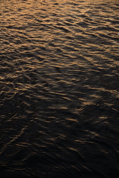 Ripples on a Dark Water Surface at Sunset