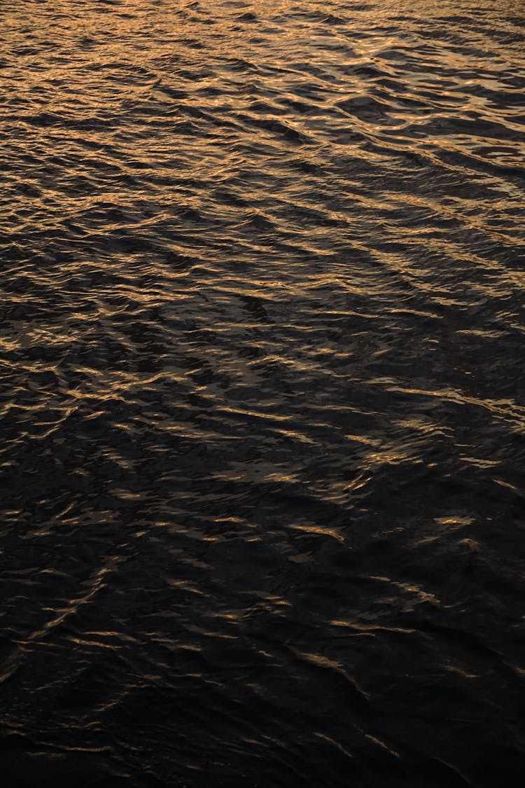 Ripples On A Dark Water Surface At Sunset