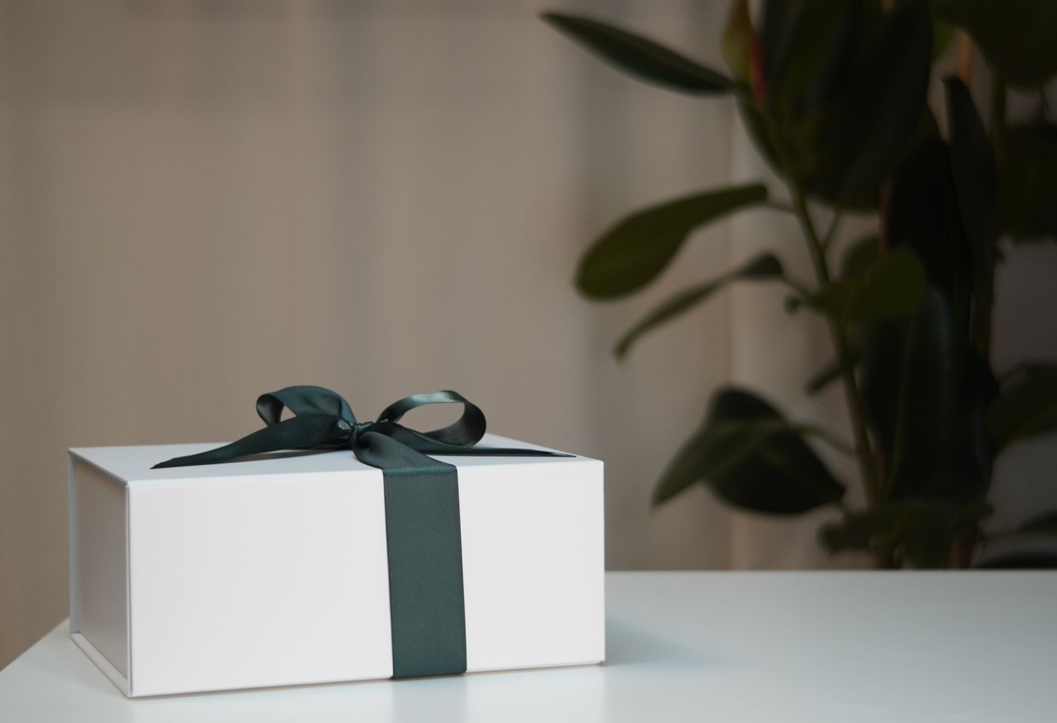 Minehead — professional packers wrapping and boxing belongings