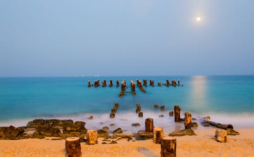 Photos gratuites de clair de lune, côte, faire signe