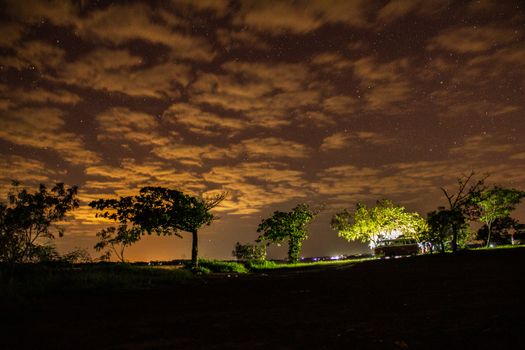 Illuminated trees under a starry sky in Juritis, SP, Brazil with dark clouds.