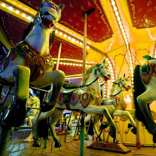 Carousel in Amusement Park