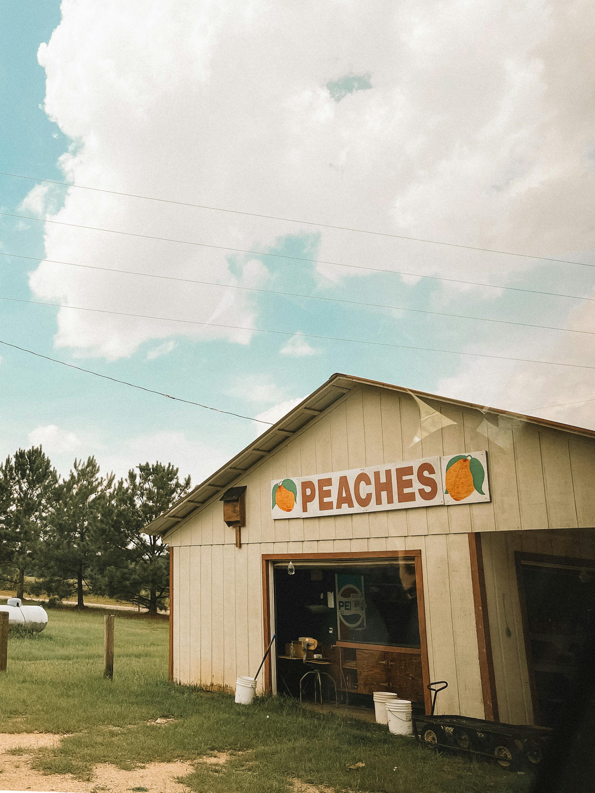 Jordan Benton Photography