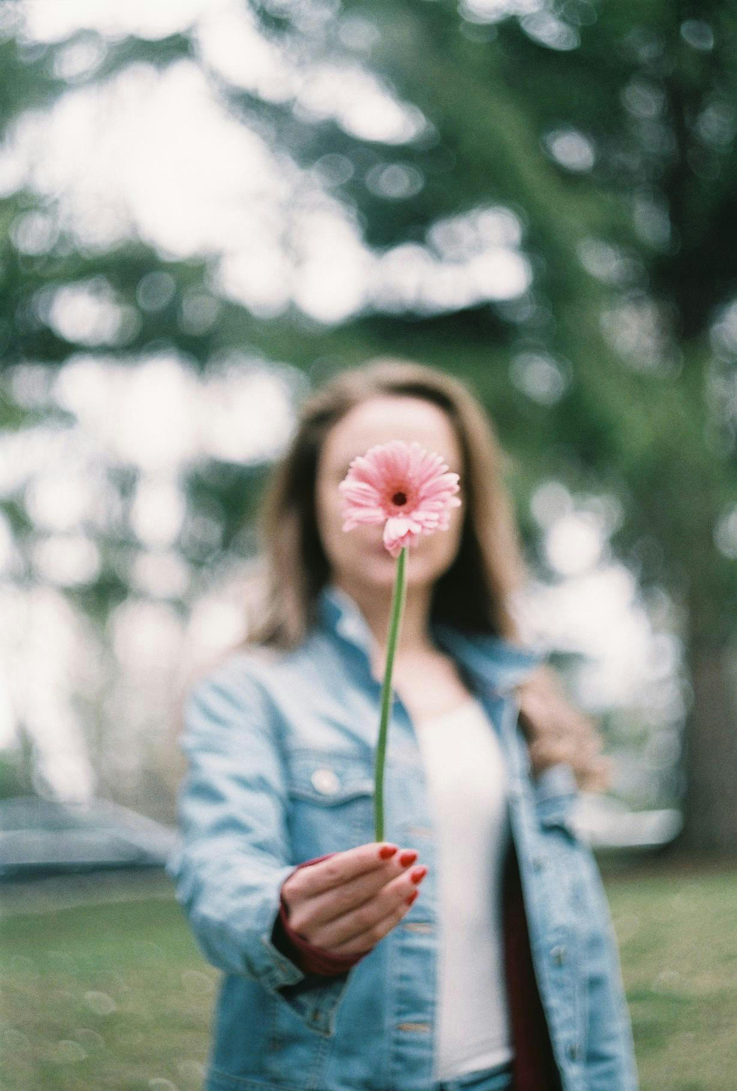 Blurred image of a woman in denim holding a pink flower in a park setting.