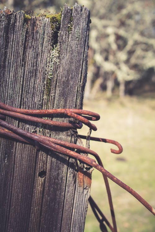 Free stock photo of barbed wire, decay, fence