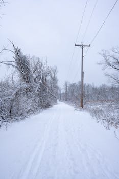 Snow-covered path in a tranquil winter forest with power lines under a cloudy sky.