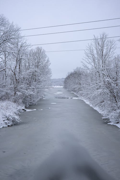 View of a Frozen River and Frosty Trees 