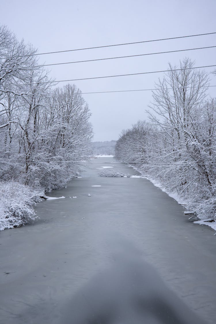 View Of A Frozen River And Frosty Trees 