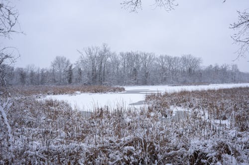 Frozen River in Winter