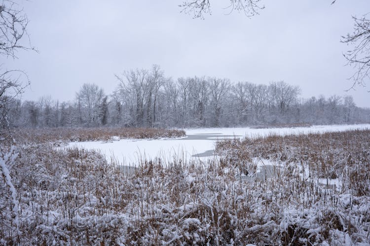 Frozen River In Winter