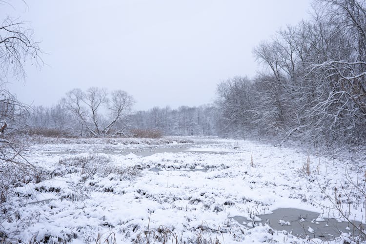 Frozen River In Countryside