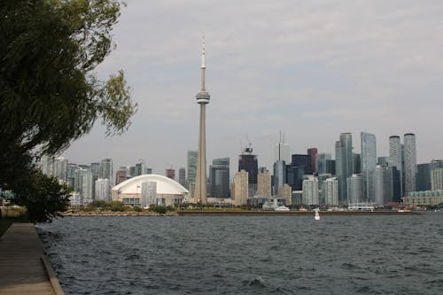 Free Downtown Toronto From the Bay Stock Photo