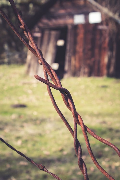 Free stock photo of barbed wire, close-up, decay