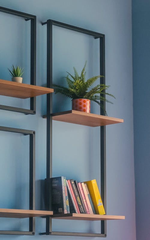 Books and Plants on Shelves