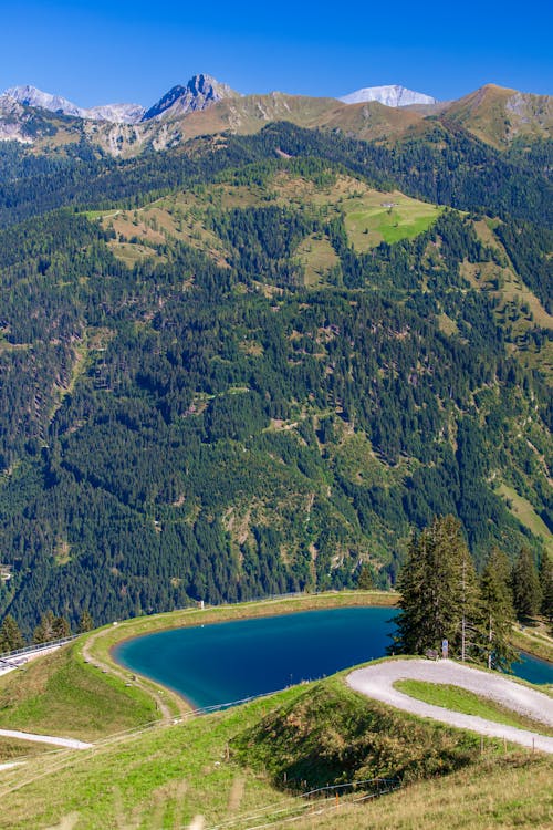 Sunlit Hill and Lake