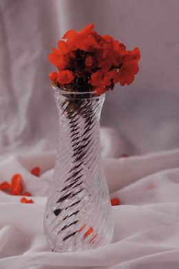 Red blossoms in a glass vase against white fabric. Photo by Rahime Gul on Pexels.