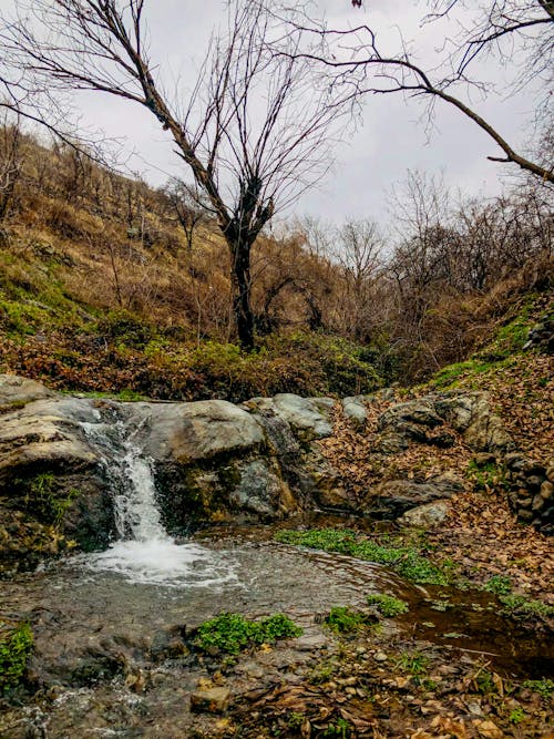 Základová fotografie zdarma na téma kámen, malý, padání