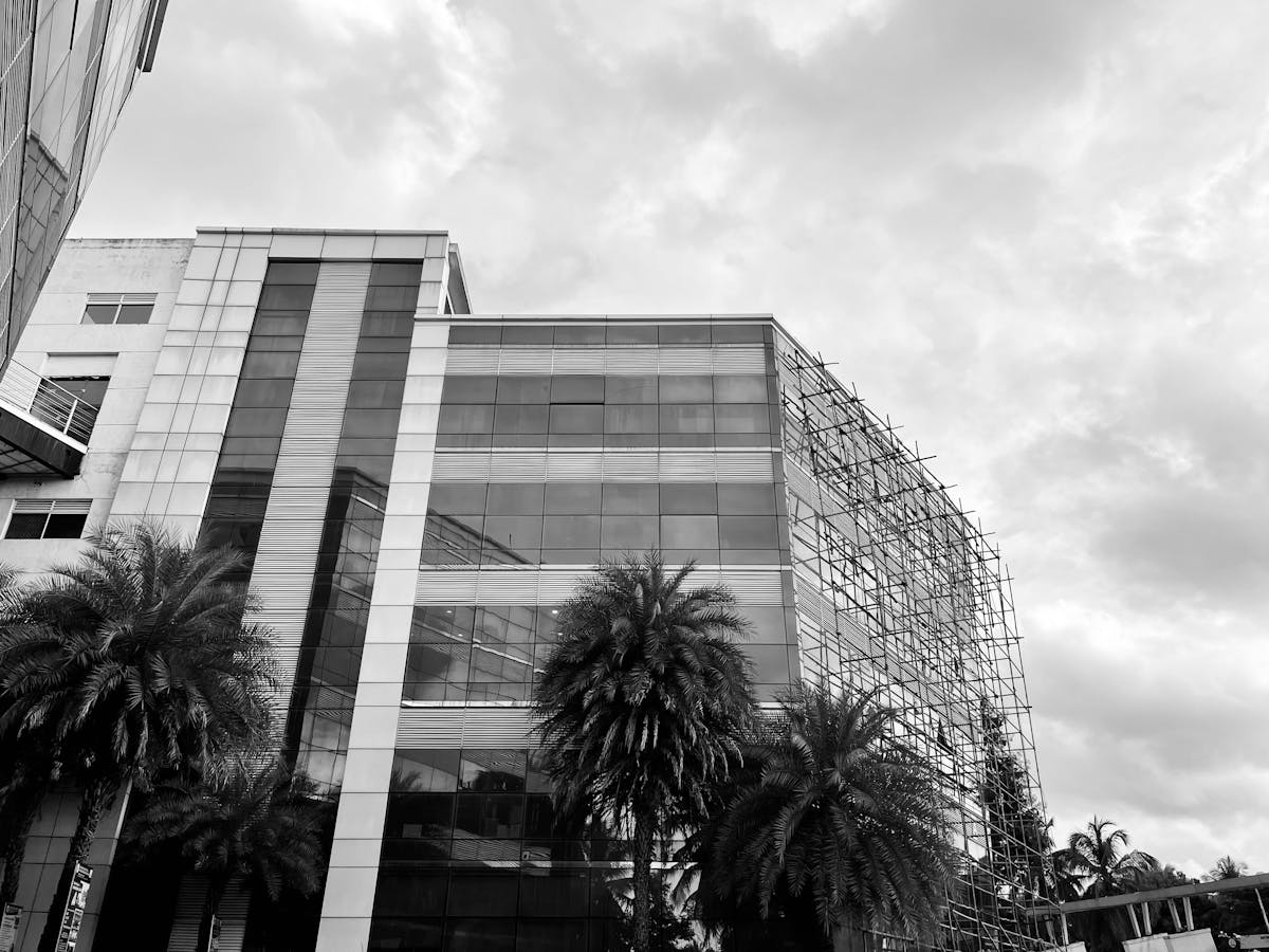 Cardano's Governance Play: A Bid for Crypto Legitimacy