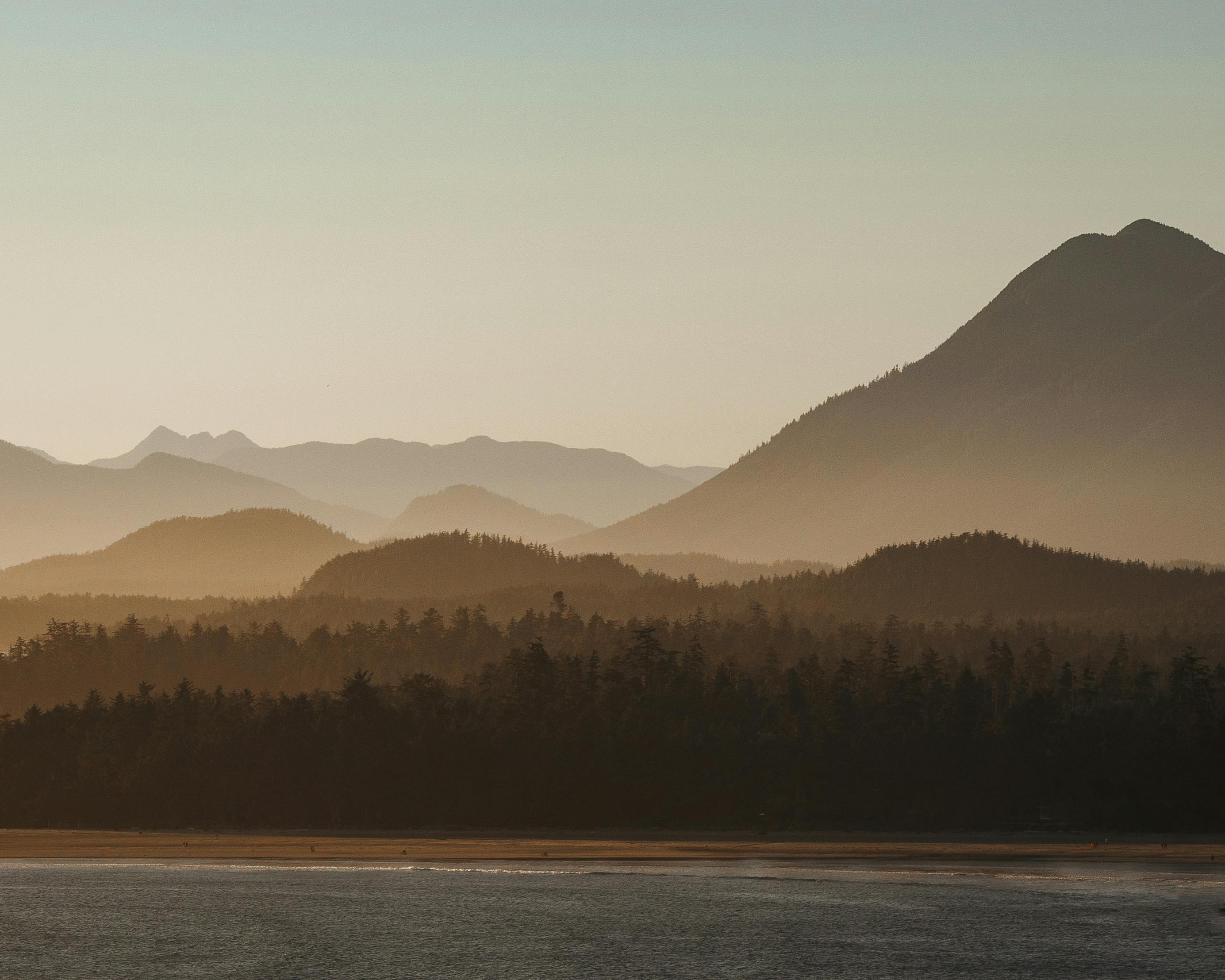 Tofino