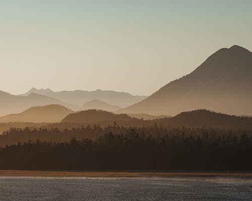 Hill and Forest on Sea Coast