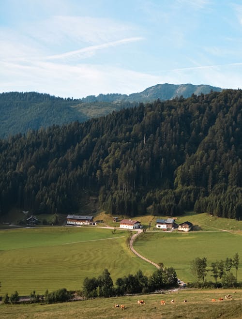 Pasture and Farm Houses in a Hill Valley