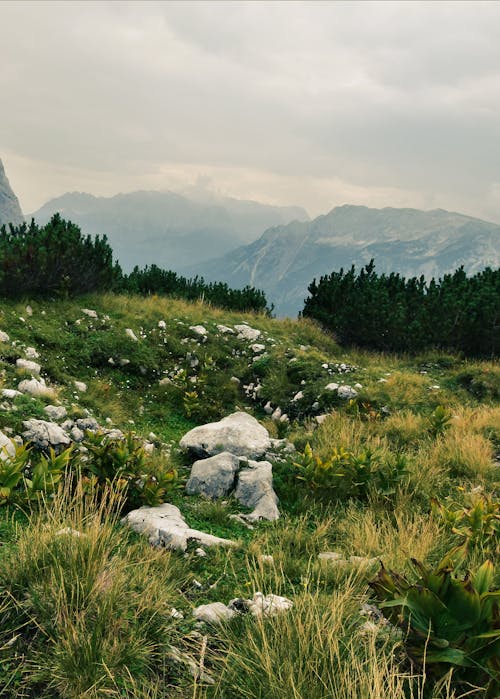 Rocks on Grassland in Mountains