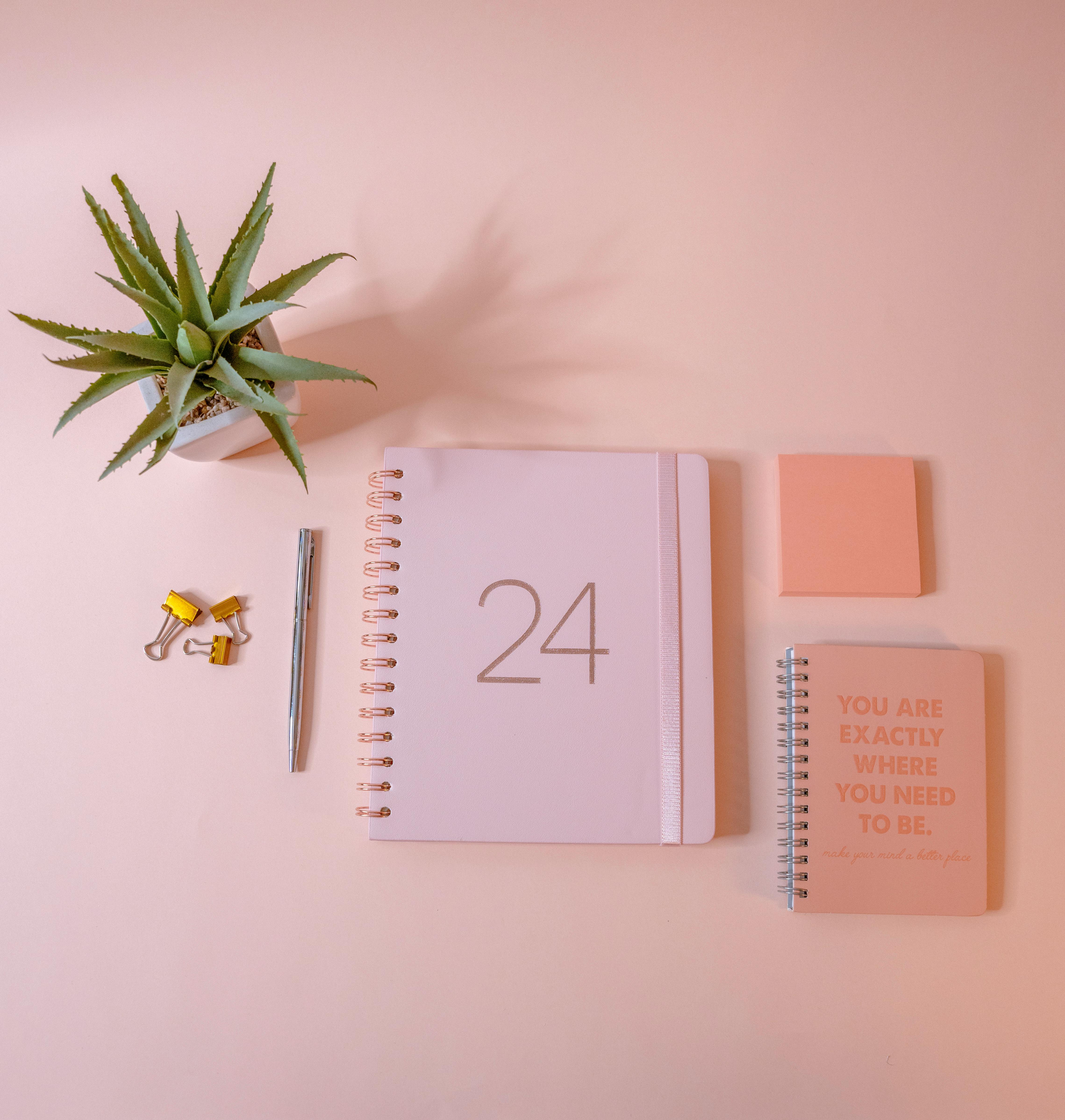 Minimalistic pink desk space featuring a planner, journals, plant, and stationery for organized living.