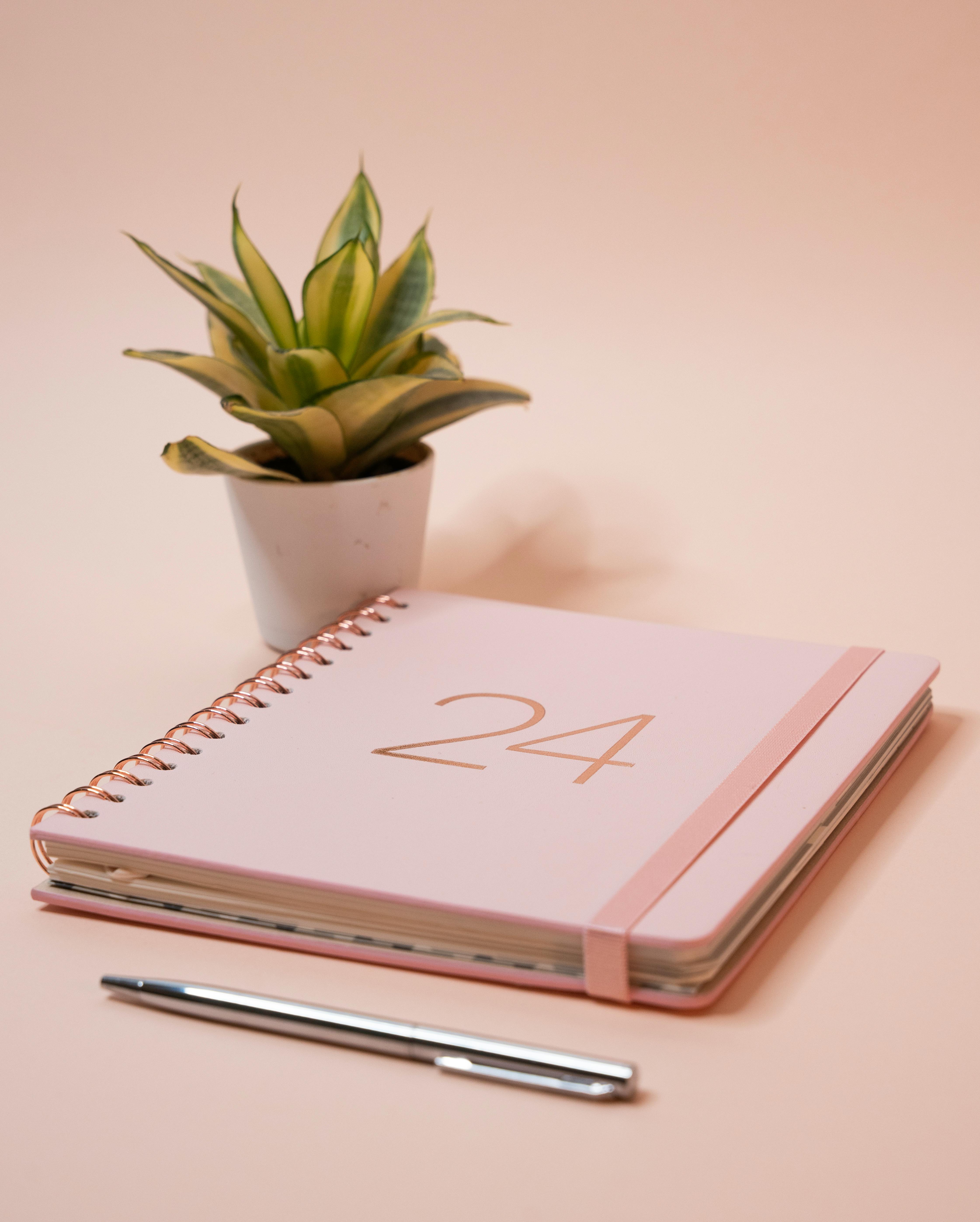 Goal Setter S Sanctuary