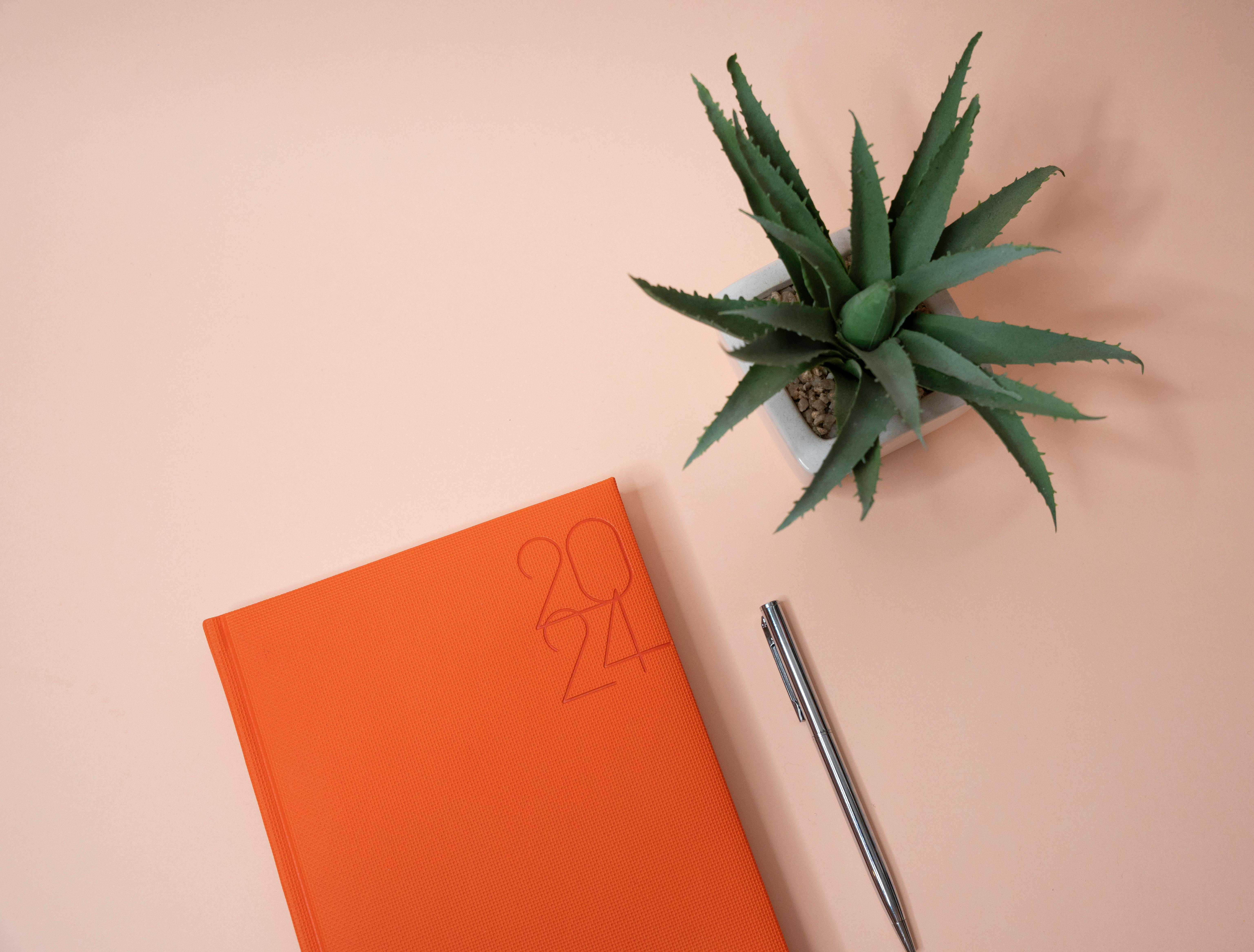 A 2024 planner beside an aloe vera plant and pen on a peach surface, perfect for organization inspiration.