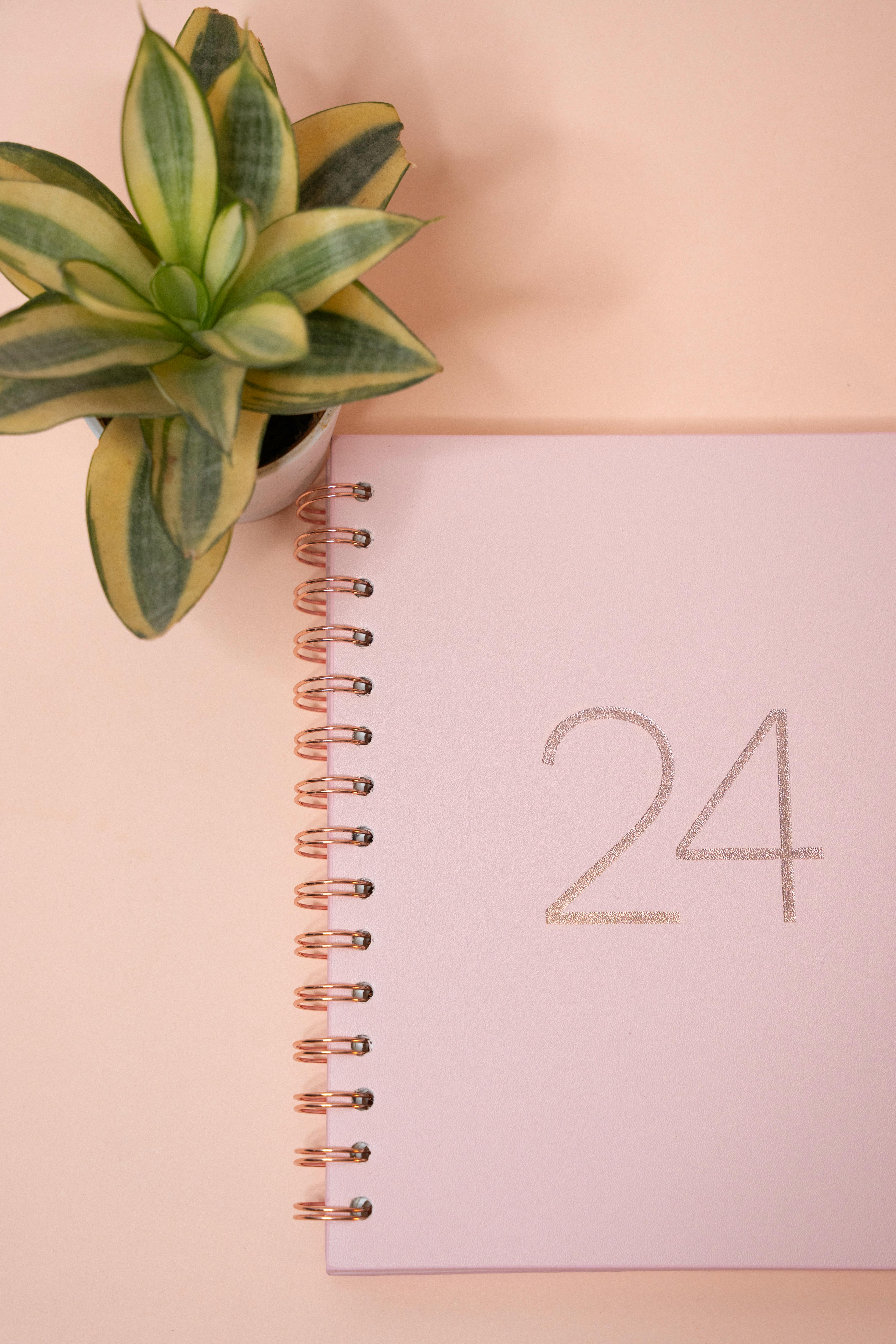 A pink notebook with a number '24' and a plant on a peach background.