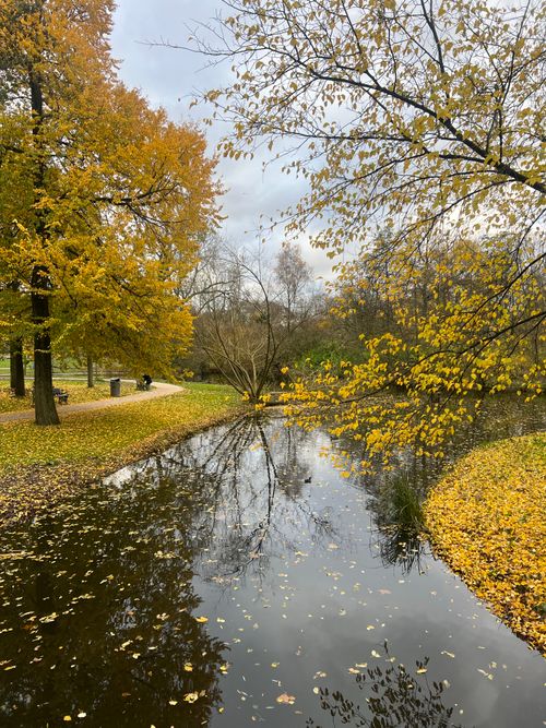 Free Serene fall day in Amsterdam park with yellow leaves reflecting in the canal. Stock Photo