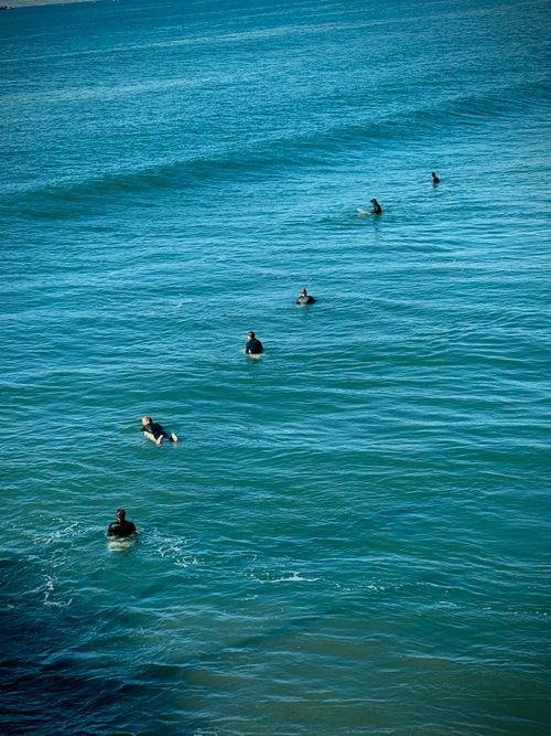 Free Group of surfers in ocean water at Hermosa Beach, California, enjoying a sunny day. Stock Photo