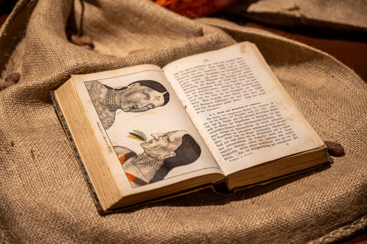 WHAT IS A HISTORY BOOK visual data 8