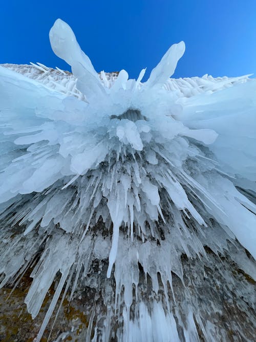 Icicles in Winter