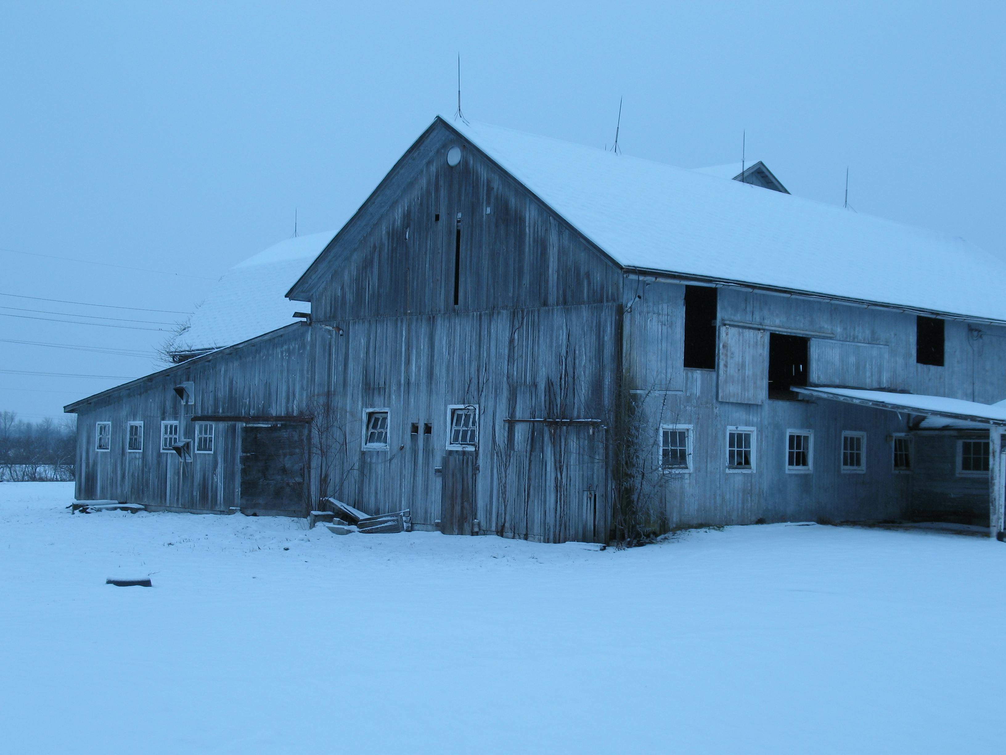 Free stock photo of barn, blue background, winter