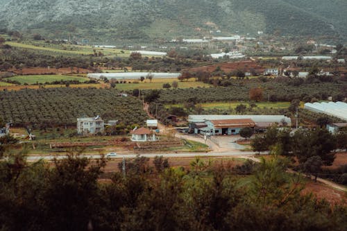 Foto profissional grátis de aldeia, aldeias, chácara