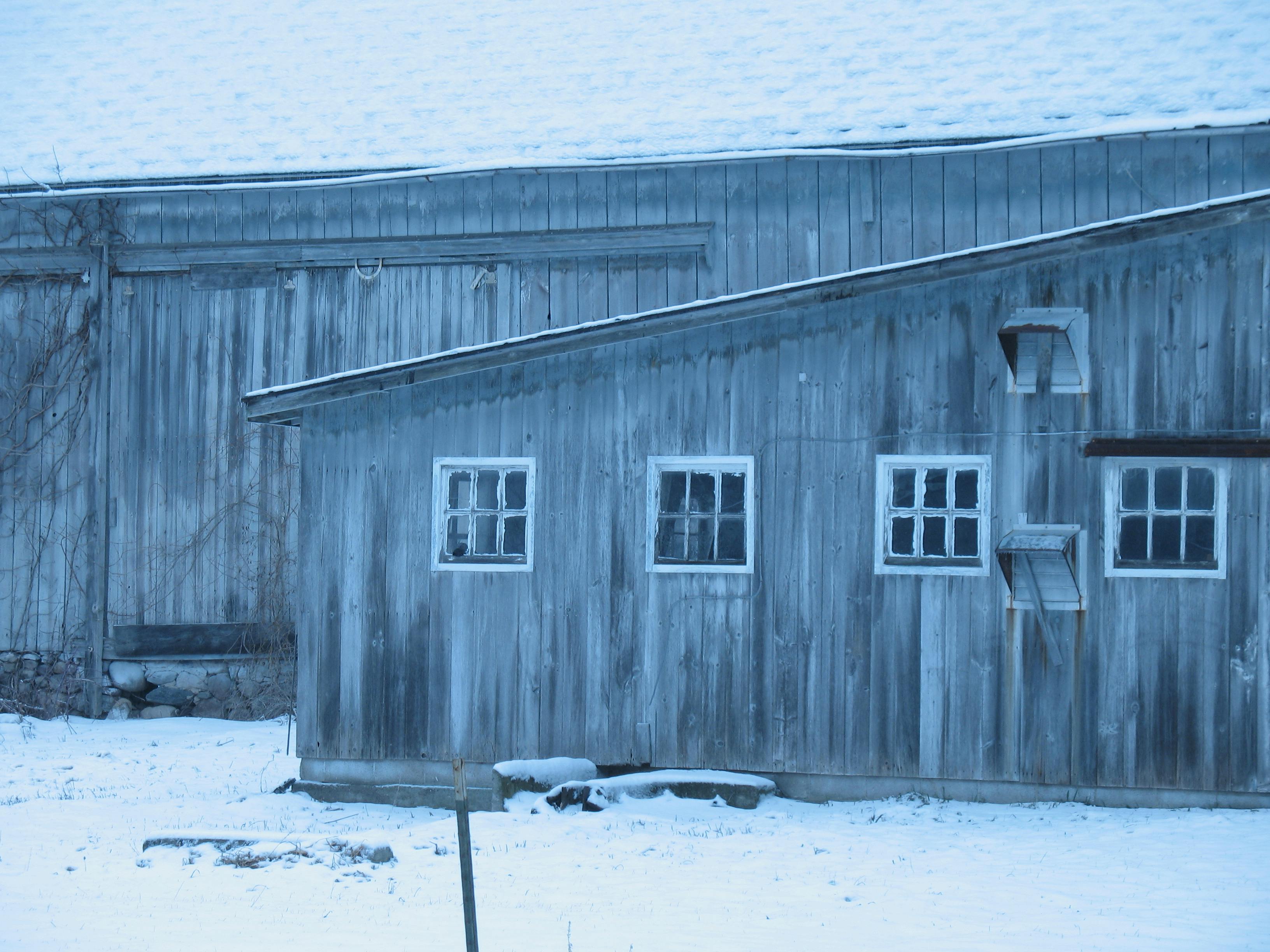 Free stock photo of barn, winter, winter background