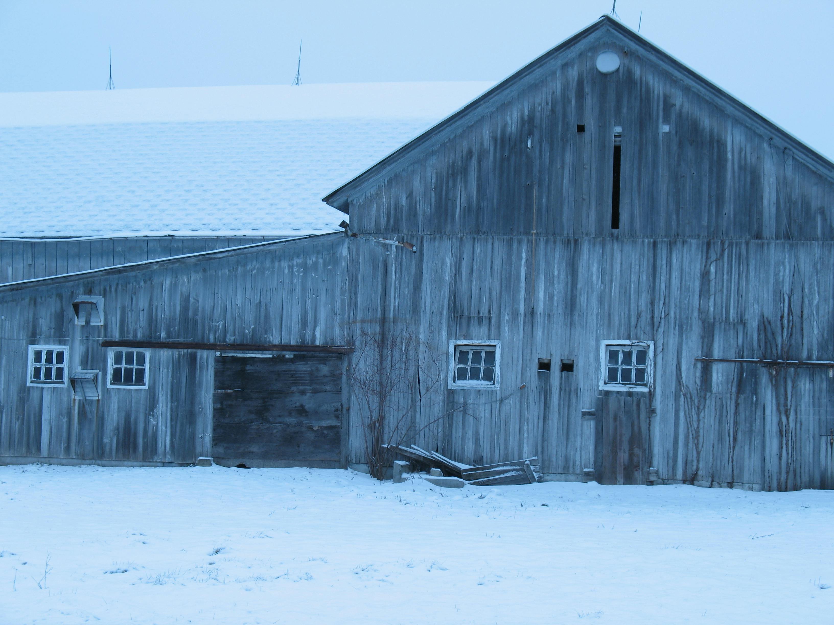 Free stock photo of barn, blue background, winter background